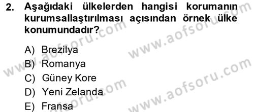 Restorasyon ve Koruma İlkeleri Dersi 2013 - 2014 Yılı (Final) Dönem Sonu Sınav Soruları 2. Soru