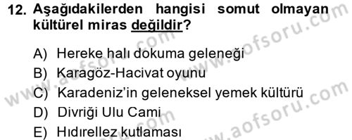 Restorasyon ve Koruma İlkeleri Dersi 2014 - 2015 Yılı (Vize) Ara Sınav Soruları 12. Soru