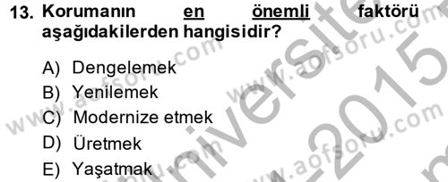 Restorasyon ve Koruma İlkeleri Dersi 2014 - 2015 Yılı (Final) Dönem Sonu Sınav Soruları 13. Soru