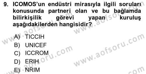 Restorasyon ve Koruma İlkeleri Dersi Dönem Sonu Sınavı Deneme Sınav Soruları 9. Soru