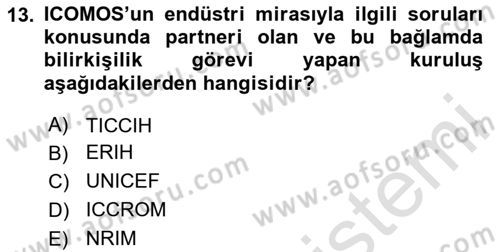 Restorasyon ve Koruma İlkeleri Dersi 2023 - 2024 Yılı Yaz Okulu Sınav Soruları 13. Soru