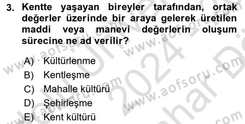 Restorasyon ve Koruma İlkeleri Dersi 2024 - 2025 Yılı (Vize) Ara Sınav Soruları 3. Soru