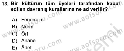 Kültürel Miras Yönetimi Dersi 2024 - 2025 Yılı (Vize) Ara Sınav Soruları 13. Soru