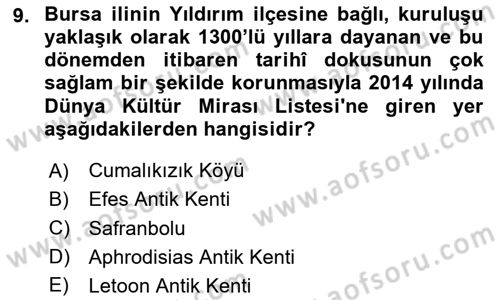 Kültürel Miras Yönetimi Dersi 2024 - 2025 Yılı (Final) Dönem Sonu Sınav Soruları 9. Soru