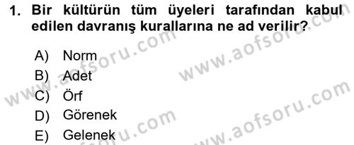 Kültürel Miras Yönetimi Dersi 2024 - 2025 Yılı Yaz Okulu Sınav Soruları 1. Soru