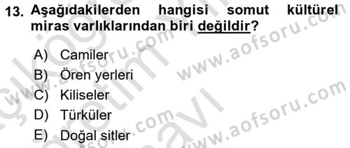 Kültürel Miras Yönetimi Dersi 2024 - 2025 Yılı Yaz Okulu Sınav Soruları 13. Soru