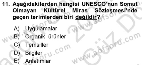 Kültürel Miras Yönetimi Dersi 2025 - 2026 Yılı (Vize) Ara Sınav Soruları 11. Soru