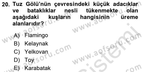 Türkiye´nin Kültürel Mirası 1 Dersi 2023 - 2024 Yılı (Vize) Ara Sınav Soruları 20. Soru