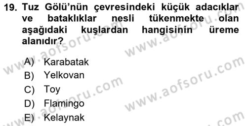 Türkiye´nin Kültürel Mirası 1 Dersi 2024 - 2025 Yılı (Vize) Ara Sınav Soruları 19. Soru