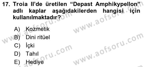 Türkiye´nin Kültürel Mirası 1 Dersi 2024 - 2025 Yılı (Final) Dönem Sonu Sınav Soruları 17. Soru
