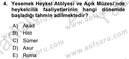 Türkiye´nin Kültürel Mirası 1 Dersi 2024 - 2025 Yılı Yaz Okulu Sınav Soruları 4. Soru