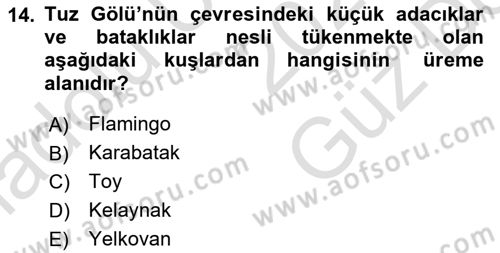 Türkiye´nin Kültürel Mirası 1 Dersi 2025 - 2026 Yılı (Vize) Ara Sınav Soruları 14. Soru