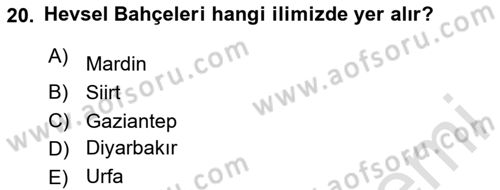 Türkiye´nin Kültürel Mirası 1 Dersi 2025 - 2026 Yılı Yaz Okulu Sınav Soruları 20. Soru