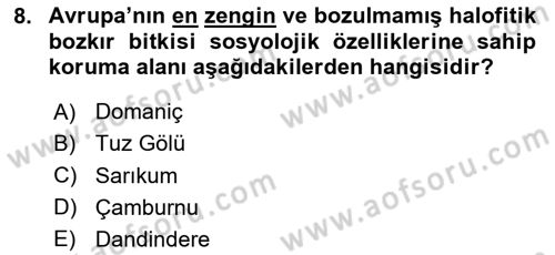 Türkiye´nin Kültürel Mirası 1 Dersi 2025 - 2026 Yılı Yaz Okulu Sınav Soruları 8. Soru