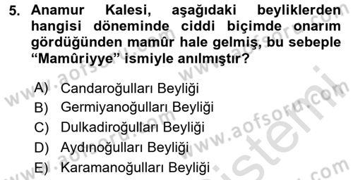 Türkiye´nin Kültürel Mirası 2 Dersi 2023 - 2024 Yılı Yaz Okulu Sınav Soruları 5. Soru