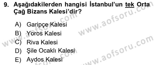 Türkiye´nin Kültürel Mirası 2 Dersi 2024 - 2025 Yılı (Vize) Ara Sınav Soruları 9. Soru