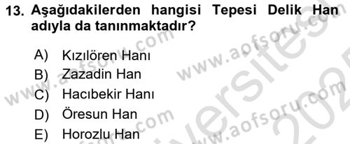Türkiye´nin Kültürel Mirası 2 Dersi 2024 - 2025 Yılı Yaz Okulu Sınav Soruları 13. Soru