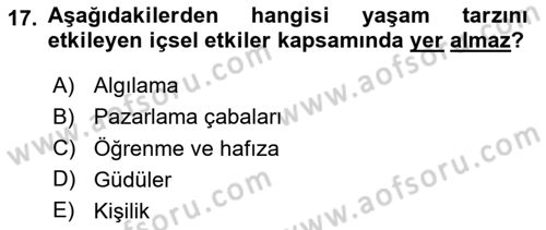 Hizmet Tasarımı Dersi 2024 - 2025 Yılı (Vize) Ara Sınav Soruları 17. Soru