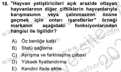 Destinasyon Yönetimi Dersi 2022 - 2023 Yılı Yaz Okulu Sınav Soruları 18. Soru