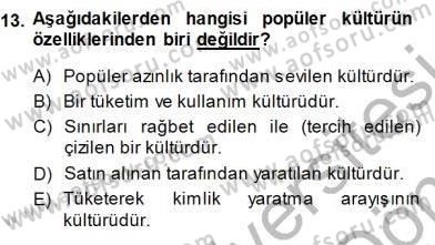 Turistik Alanlarda Mekan Tasarımı Dersi 2013 - 2014 Yılı (Final) Dönem Sonu Sınav Soruları 13. Soru