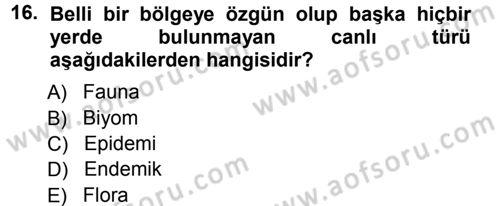 Ekoloji ve Turizm Dersi 2012 - 2013 Yılı (Vize) Ara Sınav Soruları 16. Soru