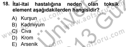 Ekoloji ve Turizm Dersi 2012 - 2013 Yılı (Vize) Ara Sınav Soruları 18. Soru