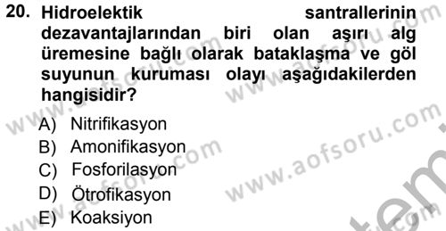 Ekoloji ve Turizm Dersi 2012 - 2013 Yılı (Vize) Ara Sınav Soruları 20. Soru