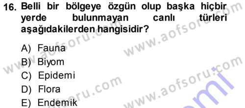 Ekoloji ve Turizm Dersi 2013 - 2014 Yılı (Vize) Ara Sınav Soruları 16. Soru