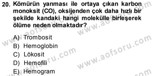 Ekoloji ve Turizm Dersi 2013 - 2014 Yılı (Vize) Ara Sınav Soruları 20. Soru