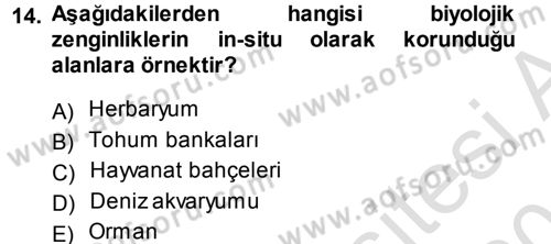 Ekoloji ve Turizm Dersi 2013 - 2014 Yılı Tek Ders Sınav Soruları 14. Soru