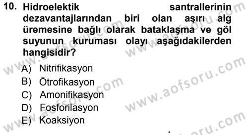Ekoloji ve Turizm Dersi 2014 - 2015 Yılı Tek Ders Sınavı 10. Soru
