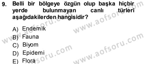 Ekoloji ve Turizm Dersi 2014 - 2015 Yılı Tek Ders Sınav Soruları 9. Soru