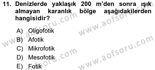 Ekoloji ve Turizm Dersi 2015 - 2016 Yılı (Vize) Ara Sınav Soruları 11. Soru