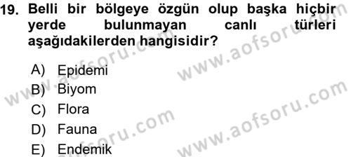 Ekoloji ve Turizm Dersi 2015 - 2016 Yılı (Vize) Ara Sınav Soruları 19. Soru