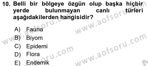 Ekoloji ve Turizm Dersi 2016 - 2017 Yılı 3 Ders Sınav Soruları 10. Soru