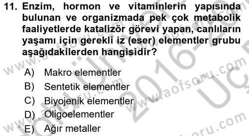 Ekoloji ve Turizm Dersi 2016 - 2017 Yılı 3 Ders Sınav Soruları 11. Soru