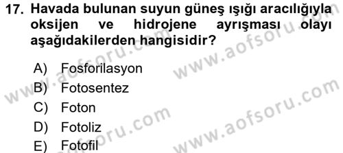 Ekoloji ve Turizm Dersi 2016 - 2017 Yılı (Vize) Ara Sınav Soruları 17. Soru