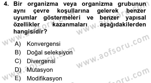 Ekoloji ve Turizm Dersi 2016 - 2017 Yılı (Vize) Ara Sınav Soruları 4. Soru