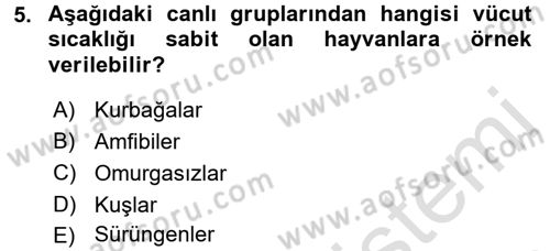 Ekoloji ve Turizm Dersi 2016 - 2017 Yılı (Vize) Ara Sınav Soruları 5. Soru
