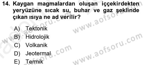 Ekoloji ve Turizm Dersi 2017 - 2018 Yılı 3 Ders Sınav Soruları 14. Soru