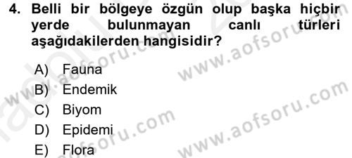 Ekoloji ve Turizm Dersi 2017 - 2018 Yılı 3 Ders Sınav Soruları 4. Soru