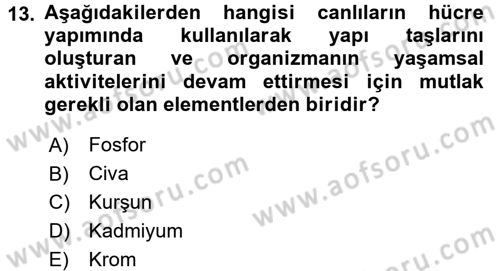 Ekoloji ve Turizm Dersi 2017 - 2018 Yılı (Vize) Ara Sınav Soruları 13. Soru