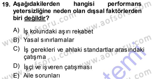 Performans ve Kariyer Yönetimi Dersi 2013 - 2014 Yılı (Vize) Ara Sınav Soruları 19. Soru