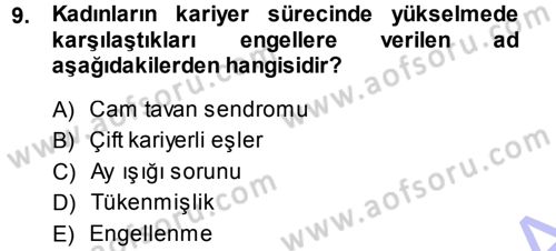 Performans ve Kariyer Yönetimi Dersi 2013 - 2014 Yılı (Final) Dönem Sonu Sınav Soruları 9. Soru