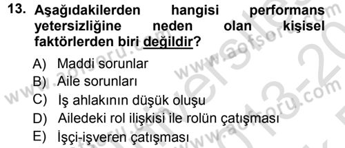 Performans ve Kariyer Yönetimi Dersi 2013 - 2014 Yılı Tek Ders Sınav Soruları 13. Soru