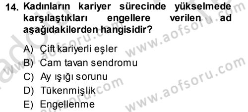 Performans ve Kariyer Yönetimi Dersi 2013 - 2014 Yılı Tek Ders Sınav Soruları 14. Soru