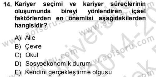 Performans ve Kariyer Yönetimi Dersi 2014 - 2015 Yılı Tek Ders Sınav Soruları 14. Soru