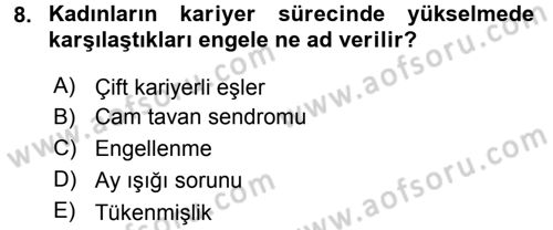Performans ve Kariyer Yönetimi Dersi 2016 - 2017 Yılı 3 Ders Sınav Soruları 8. Soru