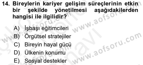 Performans ve Kariyer Yönetimi Dersi 2016 - 2017 Yılı (Final) Dönem Sonu Sınav Soruları 14. Soru
