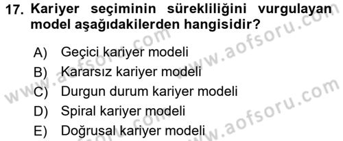 Performans ve Kariyer Yönetimi Dersi 2016 - 2017 Yılı (Final) Dönem Sonu Sınav Soruları 17. Soru